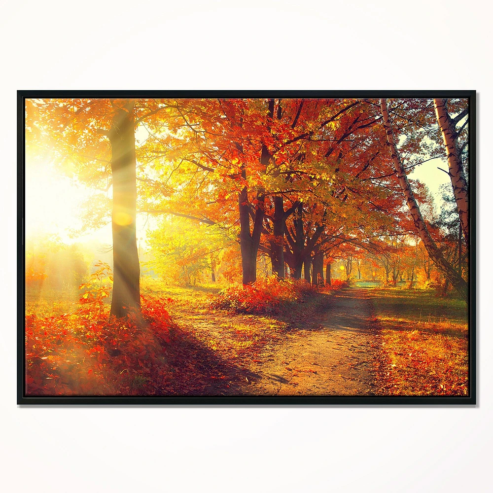 Autumnal Trees Sunrays Wall Art