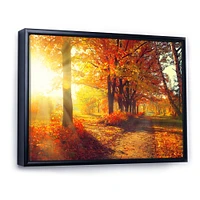 Autumnal Trees Sunrays Wall Art