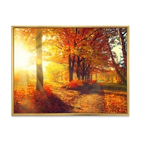 Autumnal Trees Sunrays Wall Art