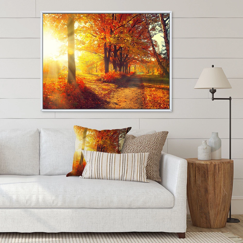 Autumnal Trees Sunrays Wall Art