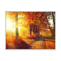 Autumnal Trees Sunrays Wall Art