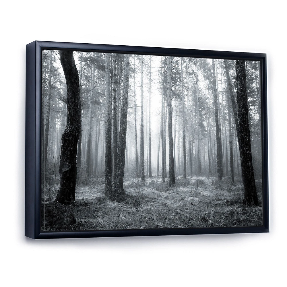 Black and White Foggy Forest Canvas Wall Art