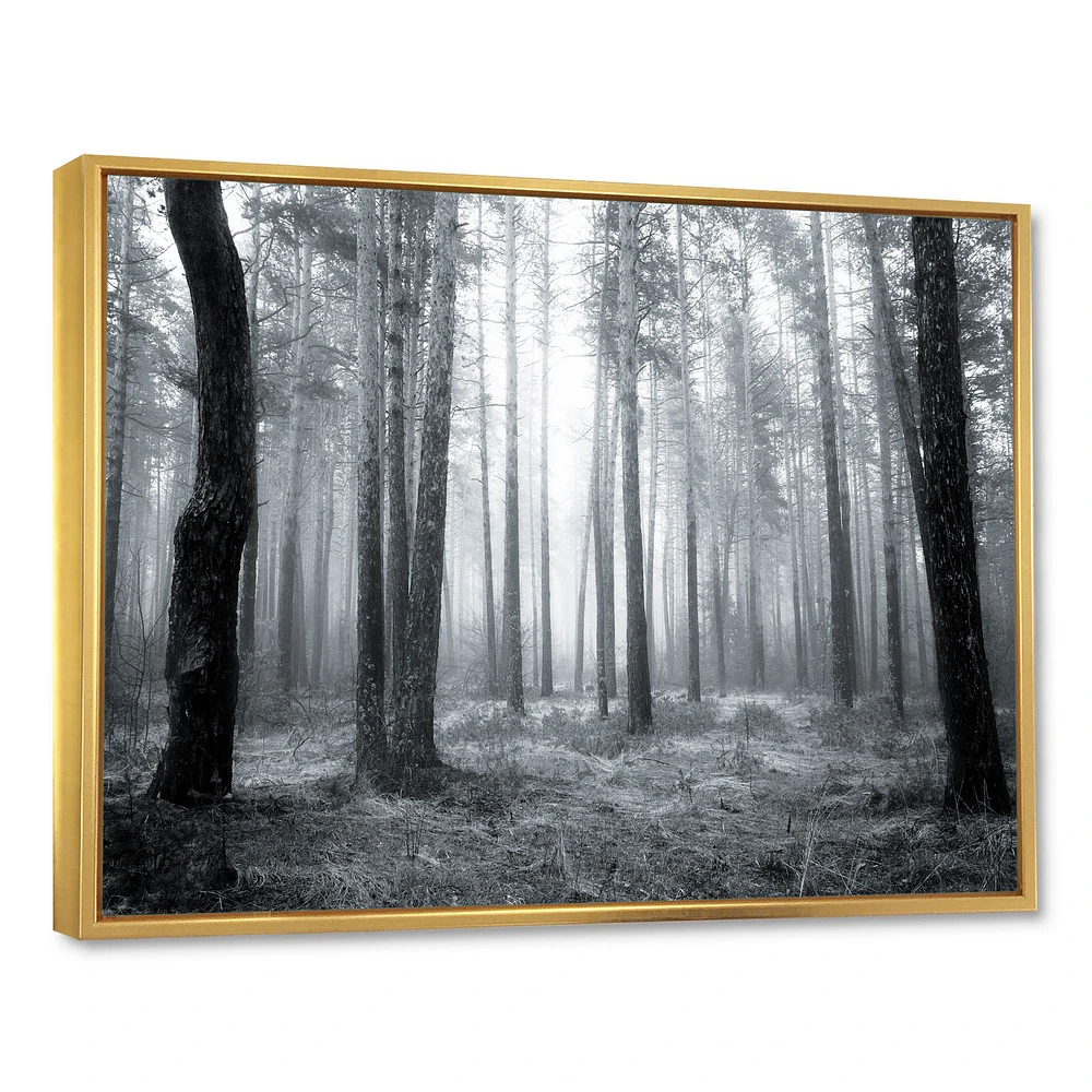 Black and White Foggy Forest Canvas Wall Art