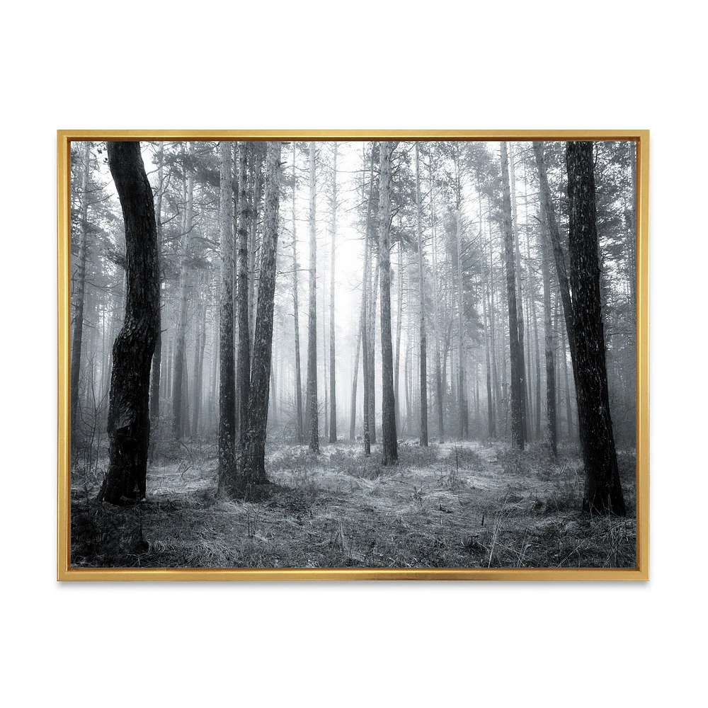 Black and White Foggy Forest Canvas Wall Art