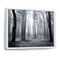 Black and White Foggy Forest Canvas Wall Art