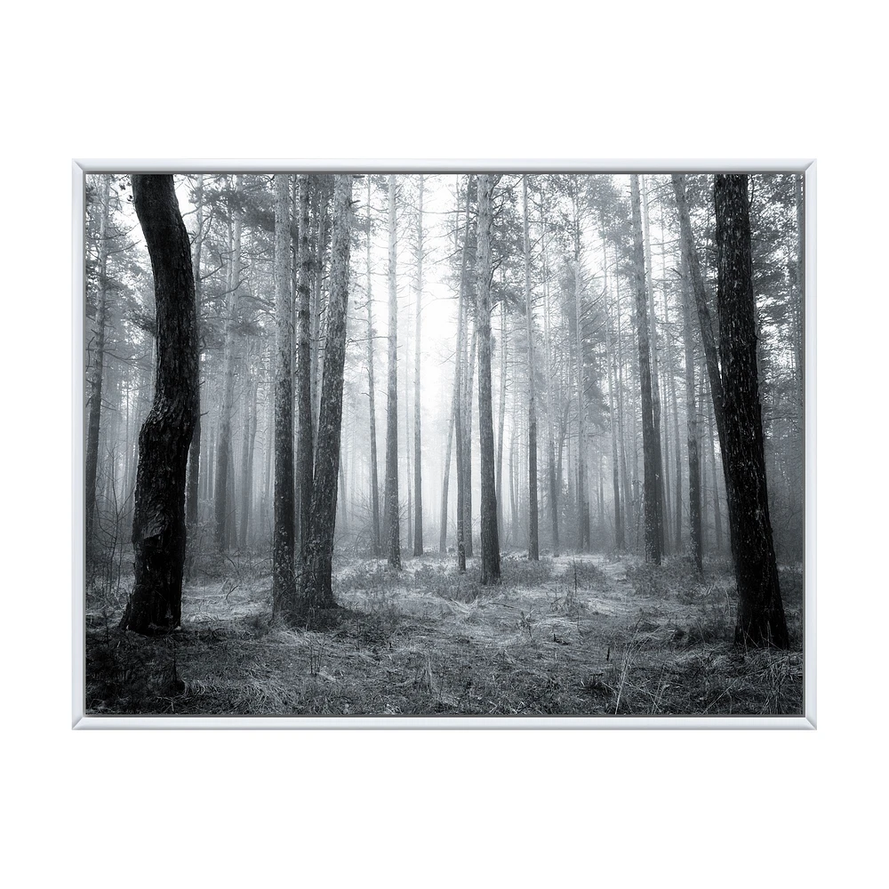 Black and White Foggy Forest Canvas Wall Art