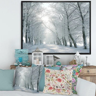 Winter Road Backlit my Morning Sun  Wall Art