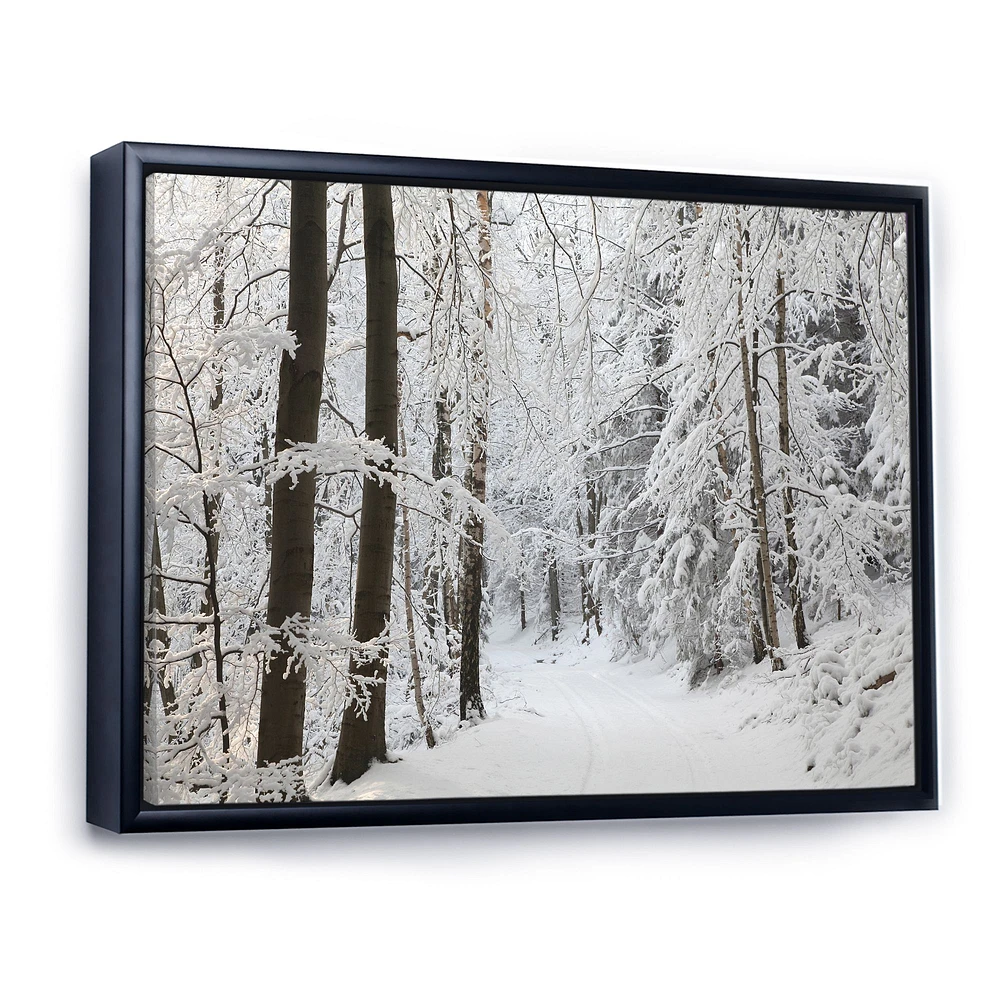 Dense Winter Forest and Lane  Wall Art