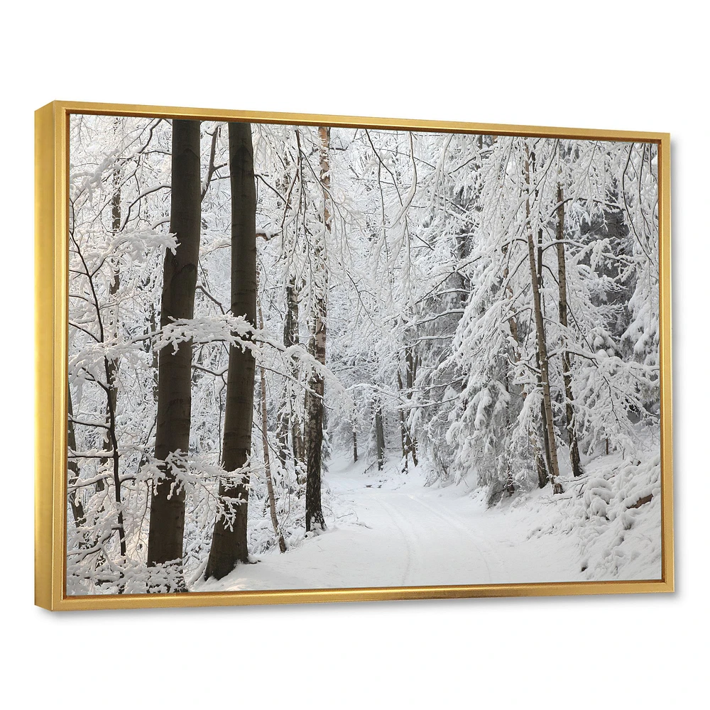 Dense Winter Forest and Lane  Wall Art