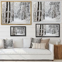 Dense Winter Forest and Lane  Wall Art