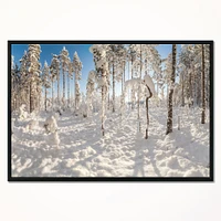 Winter Snow Covered Wood  Wall Art