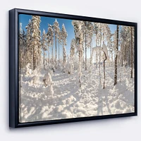 Winter Snow Covered Wood  Wall Art