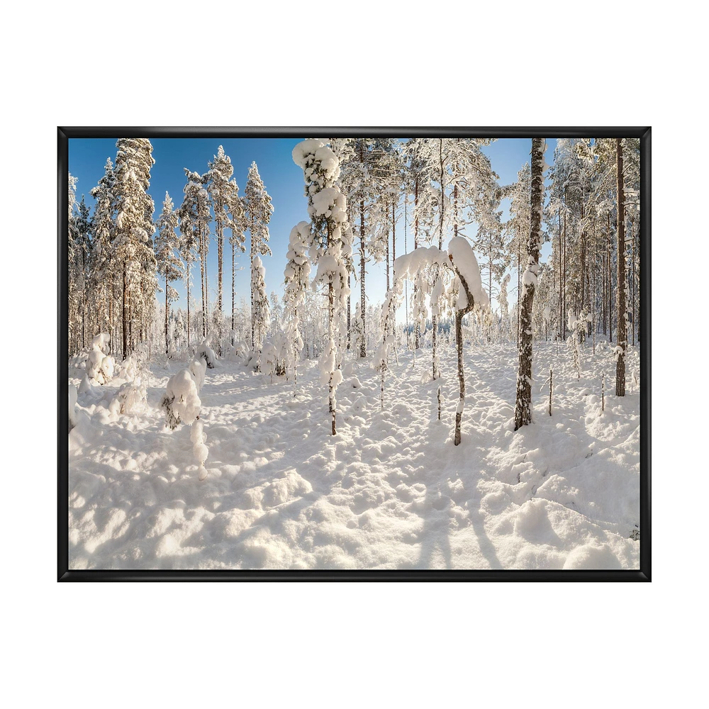 Toile « Winter Snow Covered Wood