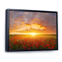 Poppy Field under Bright Sunset  Wall Art