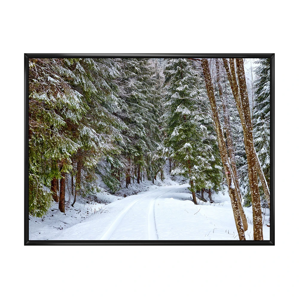 Snowy Road the Forest  Wall Art