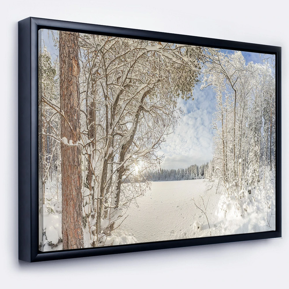 Lake Winter Woods  Wall Art