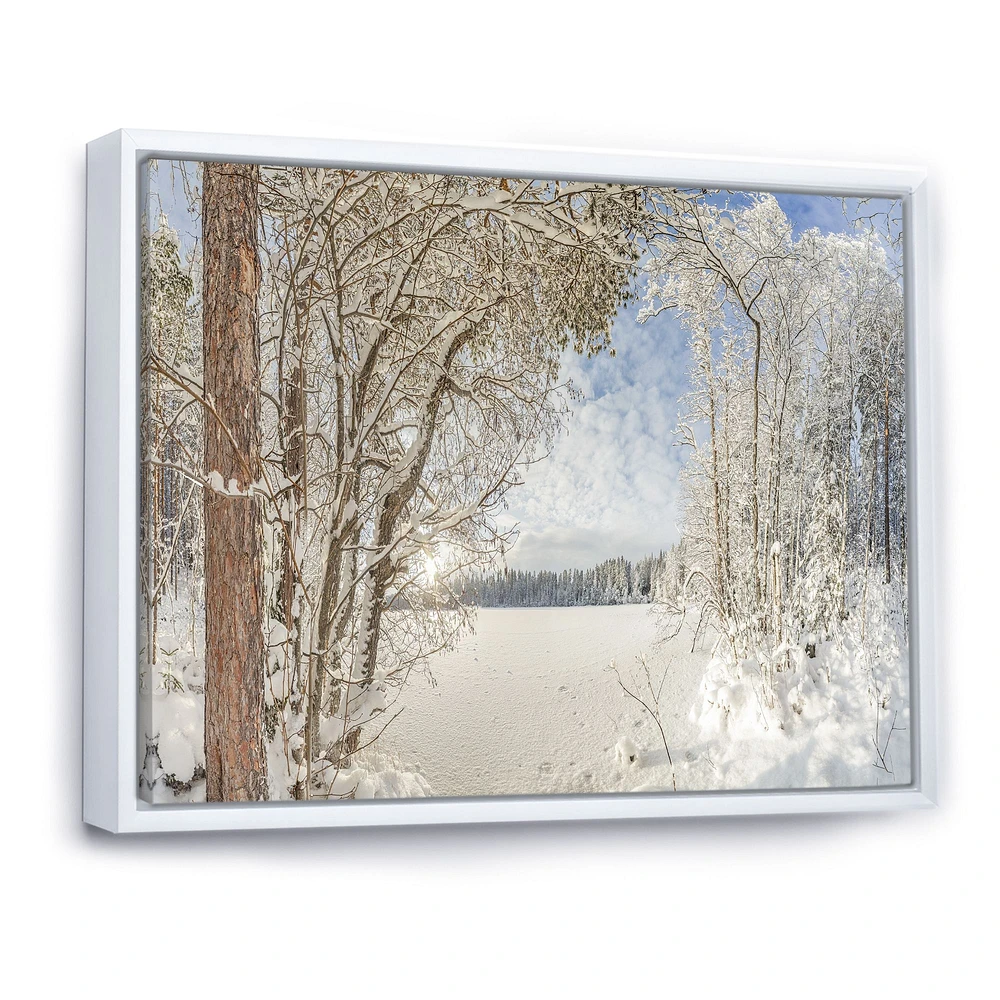 Lake Winter Woods  Wall Art