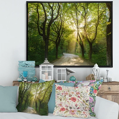 Evening Green Forest  Canvas Art Print