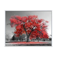 Toile  imprimée « Big Red Tree on Foggy Day »