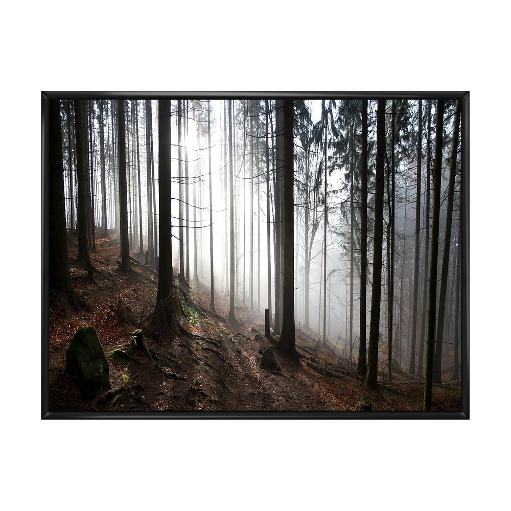 Toile « Misty Forest Morning Panorama