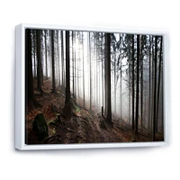 Toile « Misty Forest Morning Panorama