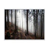 Toile « Misty Forest Morning Panorama