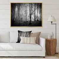 Toile  imprimée « Beautiful Forest Morning Panorama »