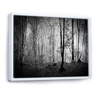 Beautiful Forest Morning Panorama  Canvas Art Print