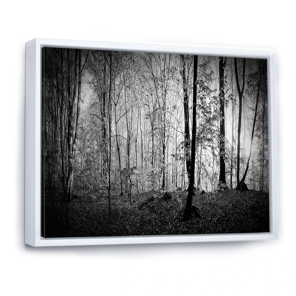 Toile  imprimée « Beautiful Forest Morning Panorama »