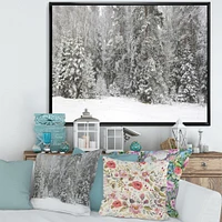 Toile « Foggy Winter Forest Panorama