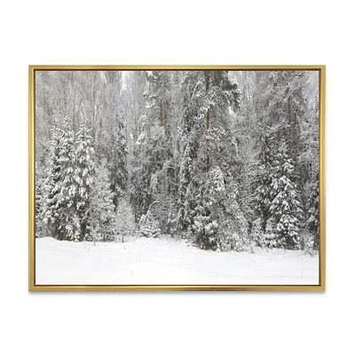 Foggy Winter Forest Panorama  Wall Art