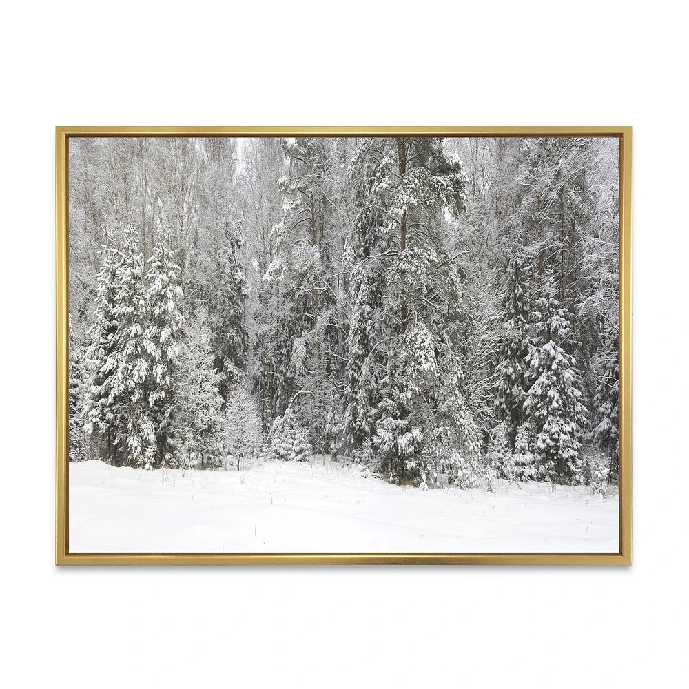 Toile « Foggy Winter Forest Panorama