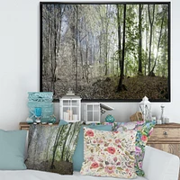 Green Morning Forest Panorama  Canvas Art Print