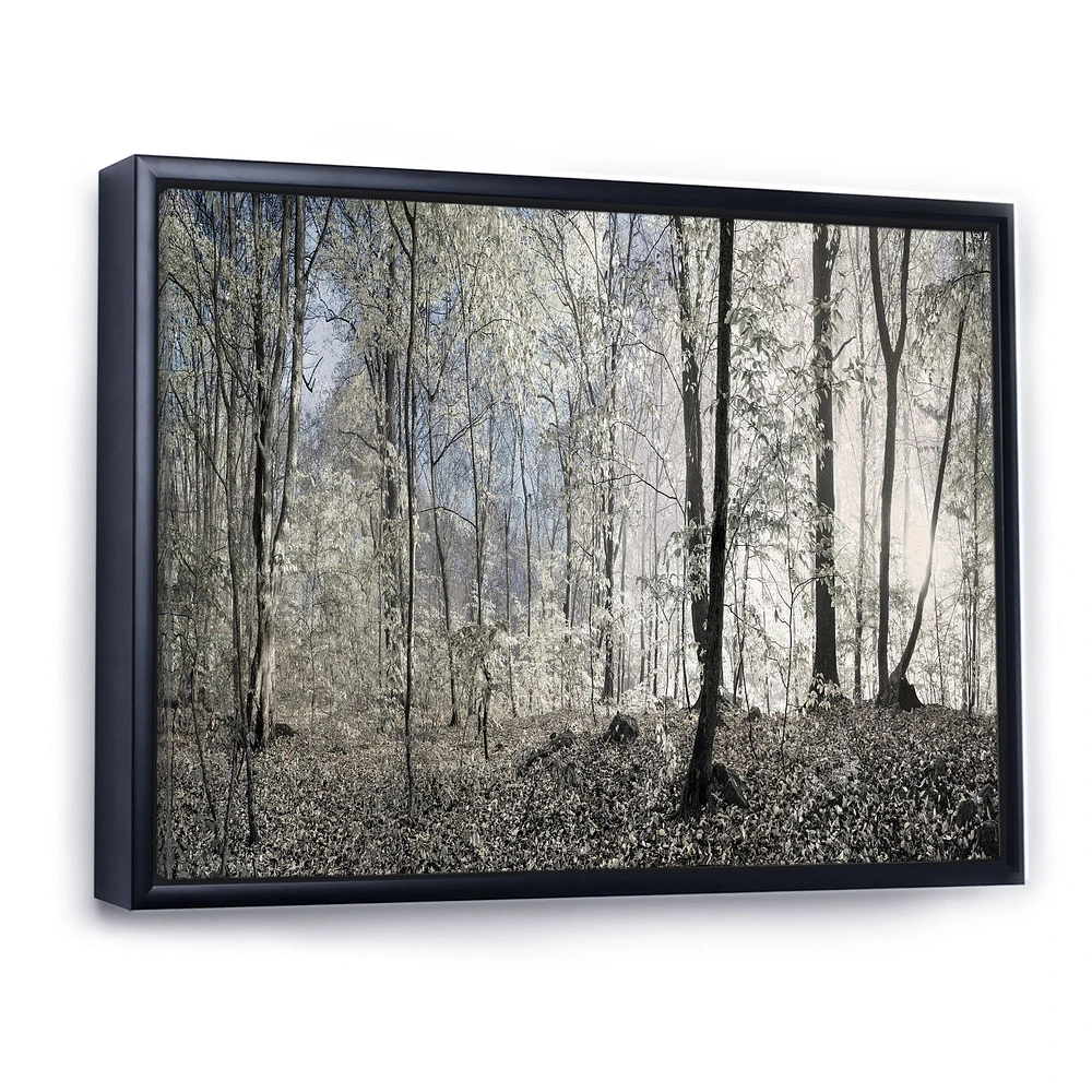 Toile imprimée « Dark Morning Forest Panorama »