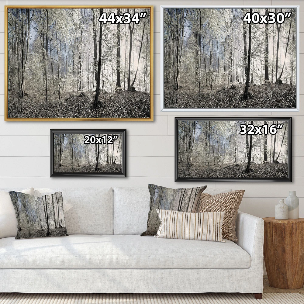 Dark Morning Forest Panorama  Canvas Wall Art Print