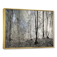 Dark Morning Forest Panorama  Canvas Wall Art Print