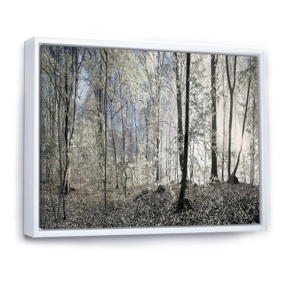 Dark Morning Forest Panorama  Canvas Wall Art Print