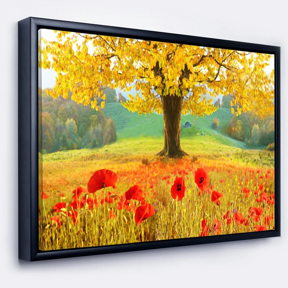 Beautiful Autumn Yellow Tree  Wall Art