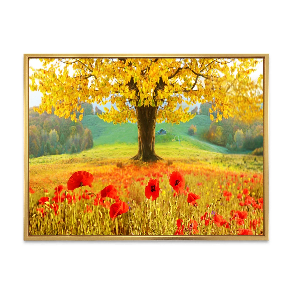 Toile « Beautiful Autumn Yellow Tree