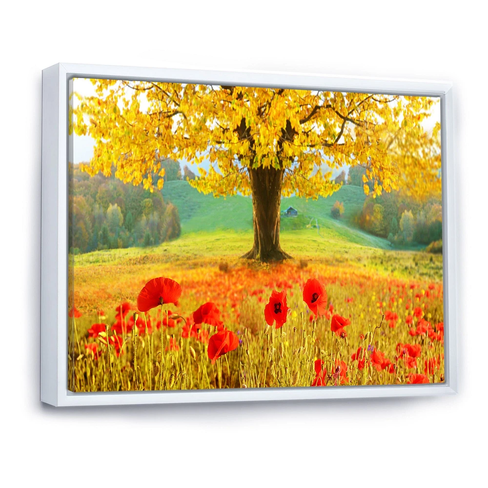 Beautiful Autumn Yellow Tree  Wall Art