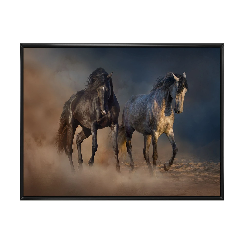 Black and white Horse run  Wall Art