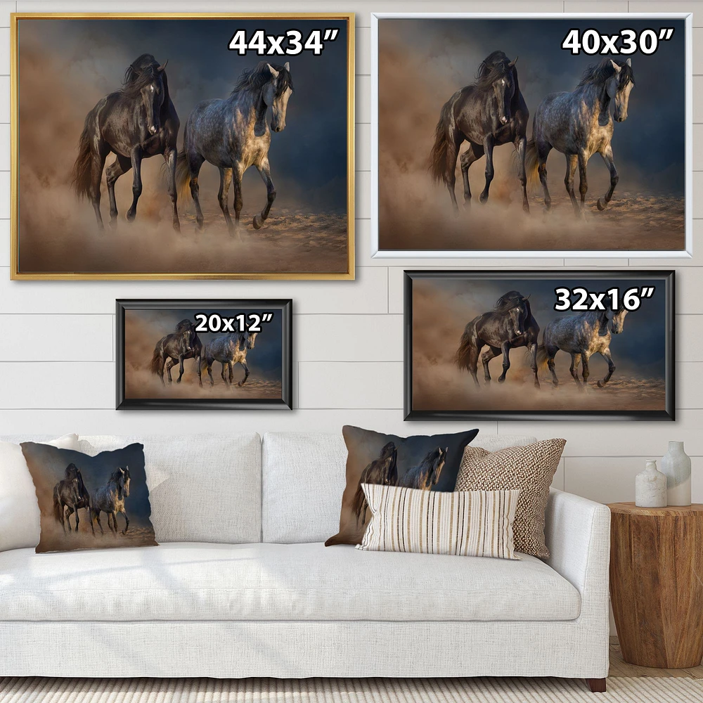 Black and white Horse run  Wall Art