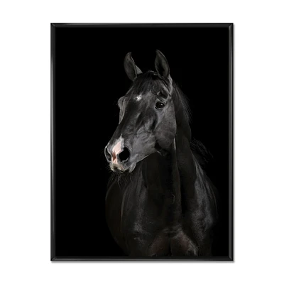 Black Horse darkness  Canvas