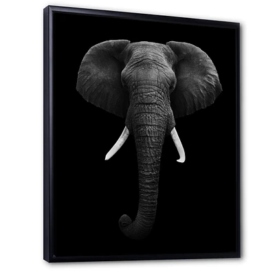 African Elephant  Wall Art