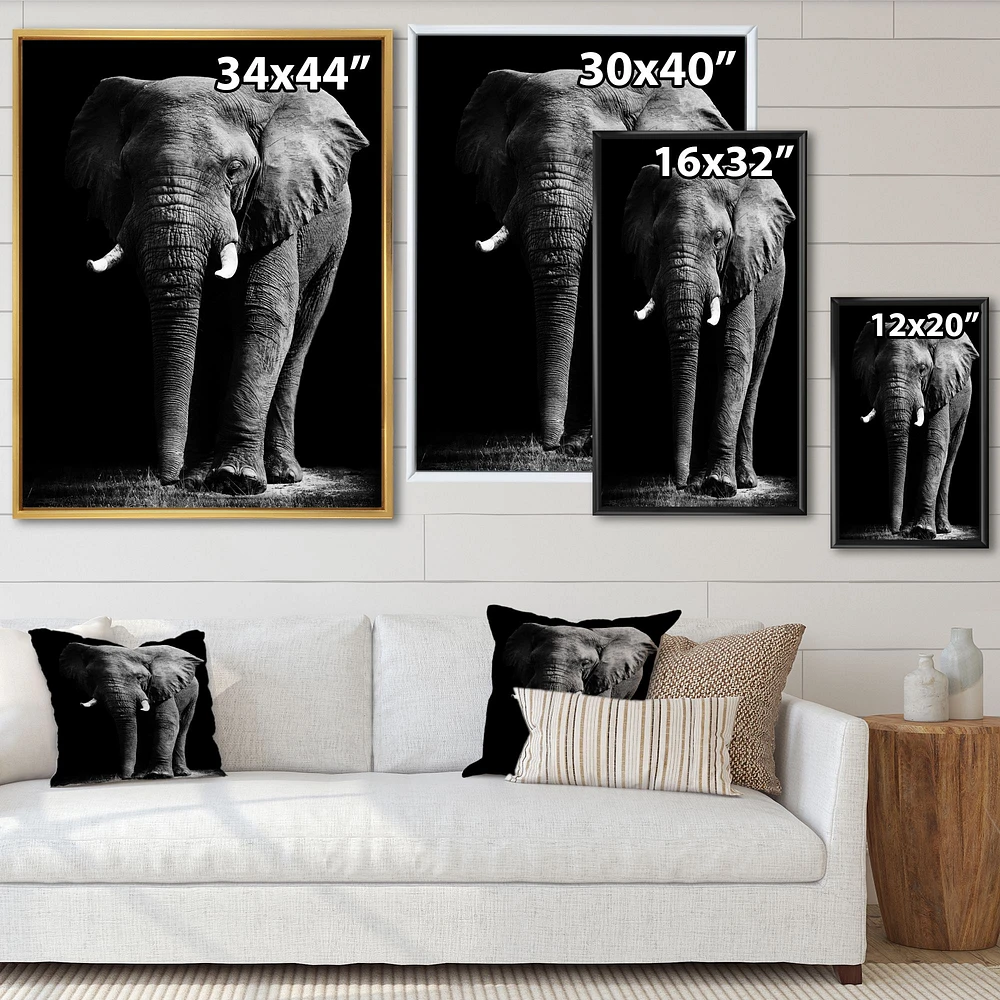 Toile « African Elephant Black Background »