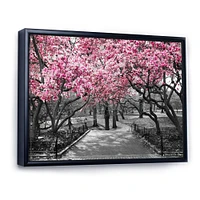 Cherry Blossoms  Canvas Wall Art