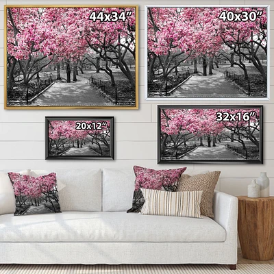 Cherry Blossoms  Canvas Wall Art