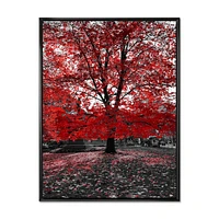 Toile « Red Tree Central Park »