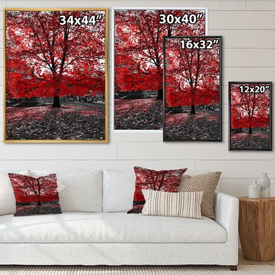 Red Tree Central Park  Wall Art