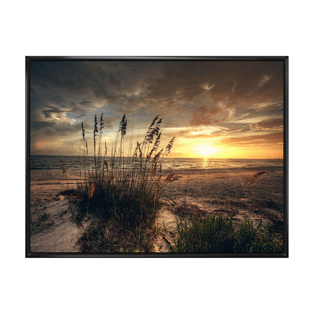 Grassy and Beach Sunset  Wall Art Canvas